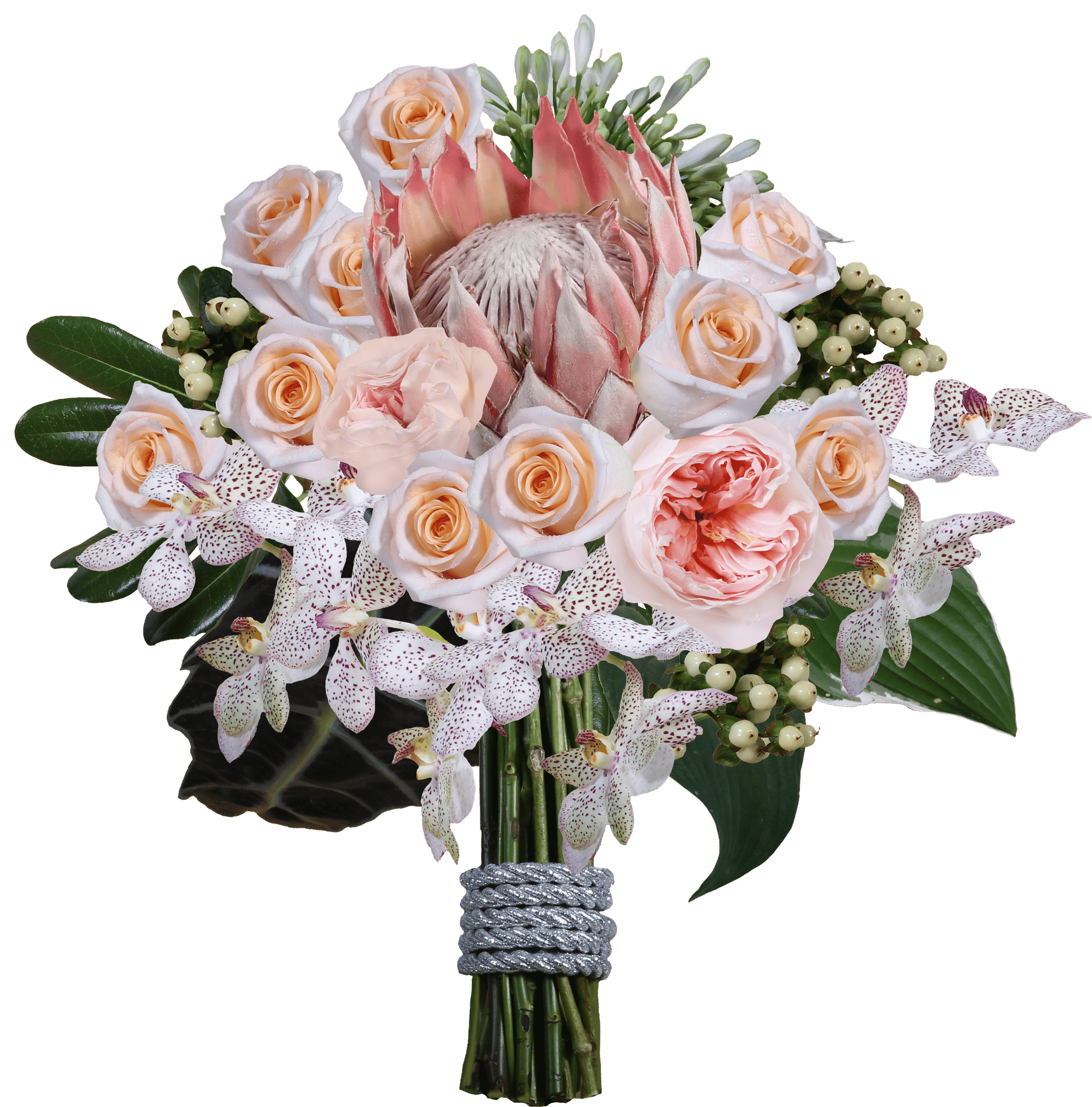 A peach orchid and protea tropical bouquet created with Flower Architect.
